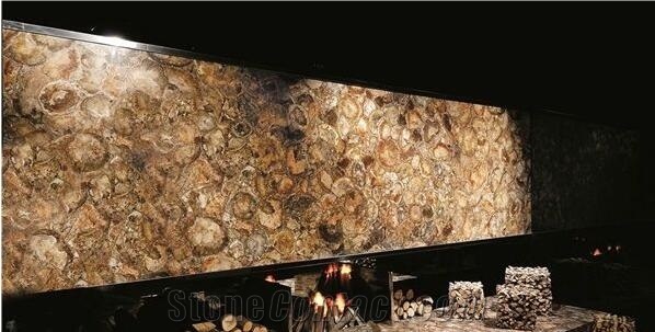 Petrified Wood Slab,Semi Precious Stone,Fossil