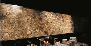 Petrified Wood Slab,Semi Precious Stone,Fossil
