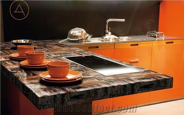 Polished Petrified Wood Semiprecious Stone Slabs
