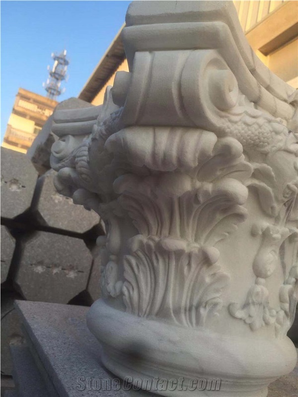 White Marble Capital Dolphin Customize Dimension