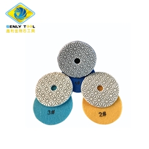 3 Steps Wet and Dry Polishing Pads