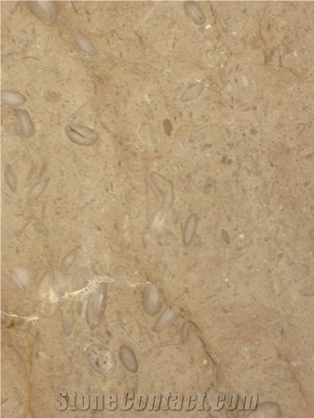 Beige Dalmatia Limestone Tiles
