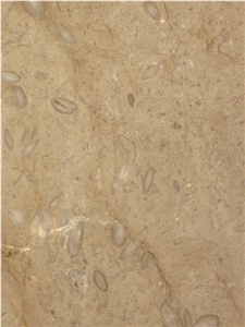 Beige Dalmatia Limestone Tiles