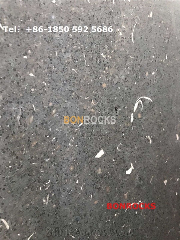 Atlantic Black Limestone Polished Slabs and Tiles