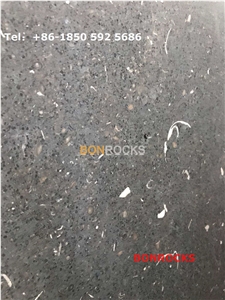 Atlantic Black Limestone Polished Slabs and Tiles