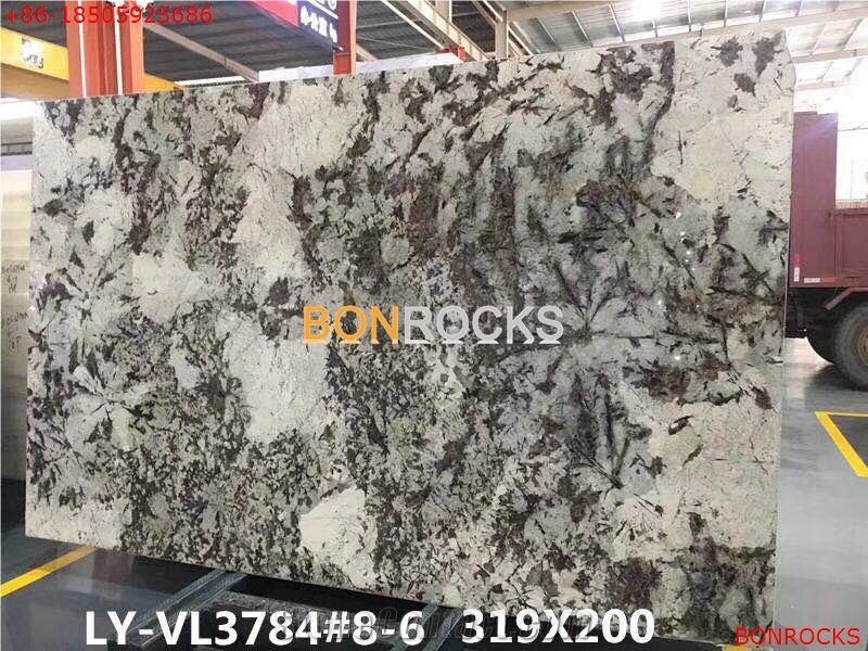 Delicatus White Granite Slab for Countertop