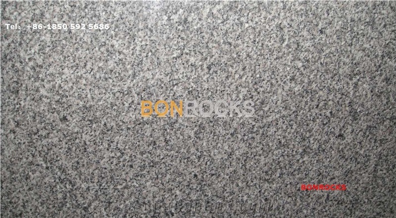 G623 China Bianco Sardo White Granite Kerbstone