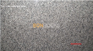 G623 China Bianco Sardo White Granite Kerbstone