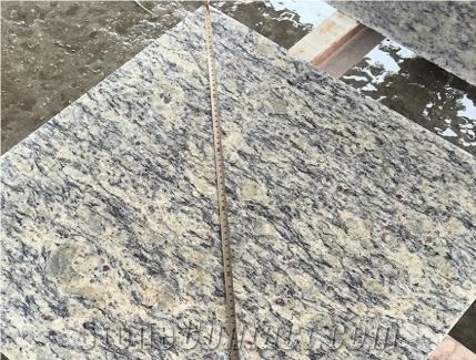 Brazil Santa Cecilia Light Granite Polished Tiles