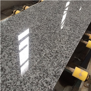 China G439 Bianco Sardo Granite Slabs for Wall
