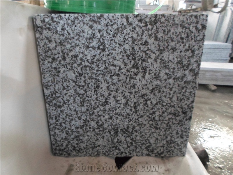 China G439 Bianco Sardo Granite Slabs for Wall
