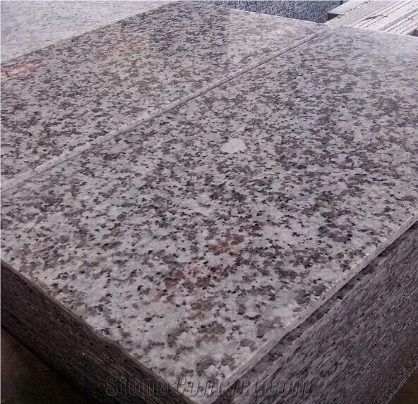 China G439 Bianco Sardo Granite Slabs for Wall