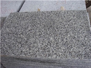 China G623 Bianco Sardo Grey Granite Polished Tile
