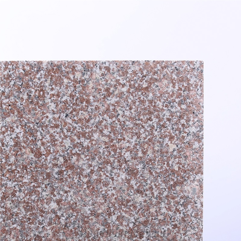 China Hibiscus Frisk Red Granite Polish Floor Tile