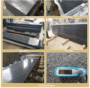 China New Impala Black G654 Granite Slabs
