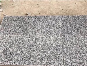 China Spray White Granite Polished Paving Stone