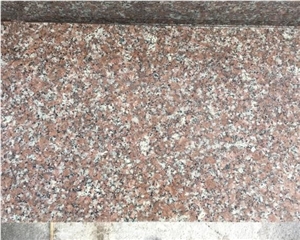 Gutian Rosa Pink Porno Granite G687 Slabs Tiles