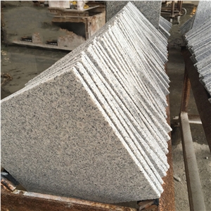 Hot Sales Light Grey Granite Sheet G603
