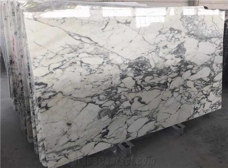 Italy Arabescato Corchia Polished White Marble