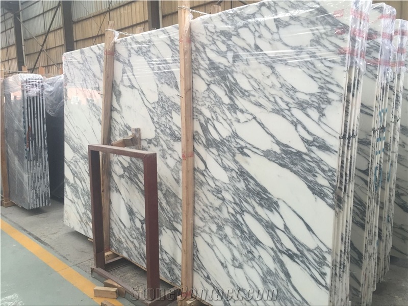 Italy Arabescato Corchia Polished White Marble