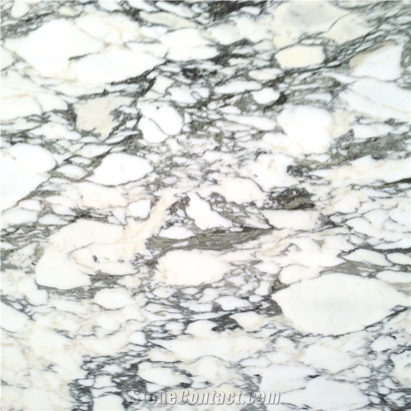 Italy Arabescato Corchia Polished White Marble
