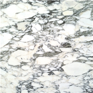 Italy Arabescato Corchia Polished White Marble