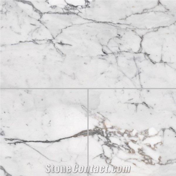 Italy Calacatta Carrara White Marble Slab Tiles