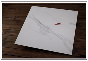 Matte and Polished Calacatta White Tiles