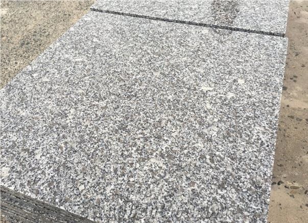 Tongan Rice Grain White Granite G655 Slabs&Tiles