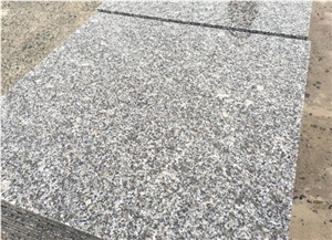 Tongan Rice Grain White Granite G655 Slabs&Tiles