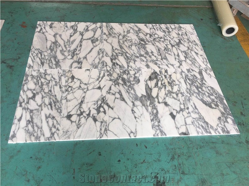 White Italy Arabescato Collettino Marble Tile Slab