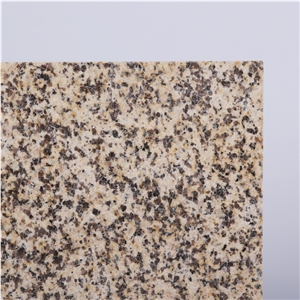 Yellow Kalamaili Granite on Fair for Flooring Tile