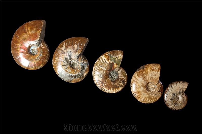 Various Semi-Precious Stones