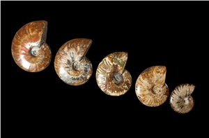 Various Semi-Precious Stones