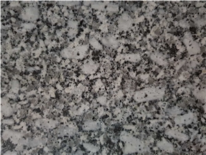Pearl White Granite, P White