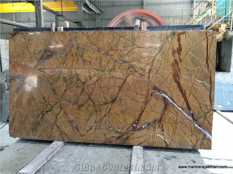 Rain Forest Gold