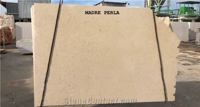 Trani Madre Perla Slabs