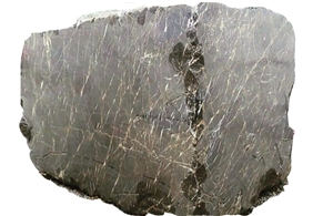 Spider and Golden Black Marble Blocks