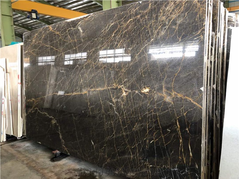 Spider and Golden Black Marble Blocks