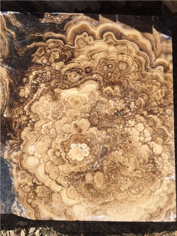 Onyx Raw Slabs, Tiles Supplier