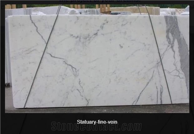 Statuary Marble Fine Vein Slabs