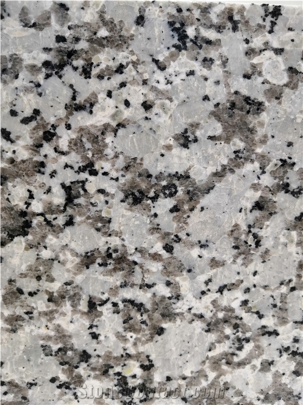 China Bala White Granite New G439
