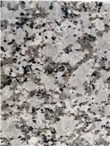 China Bala White Granite New G439 China Bala White Granite New G439