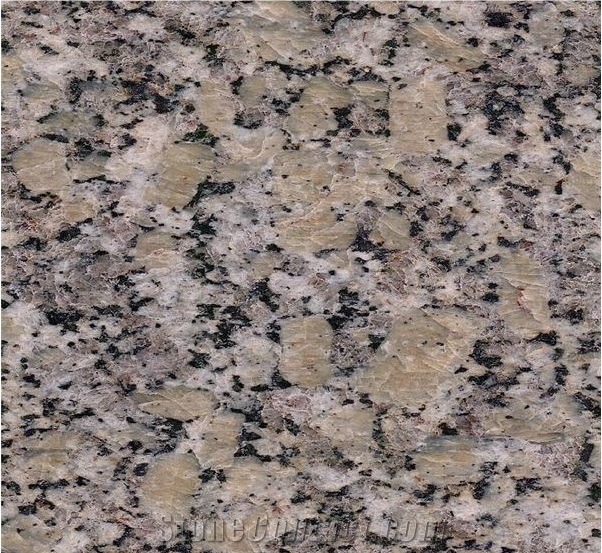 Golden Autumn Sesame Gold Granite for Counter Top
