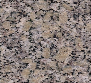 Golden Autumn Sesame Gold Granite for Counter Top Golden Autumn Sesame Gold Granite for Counter Top