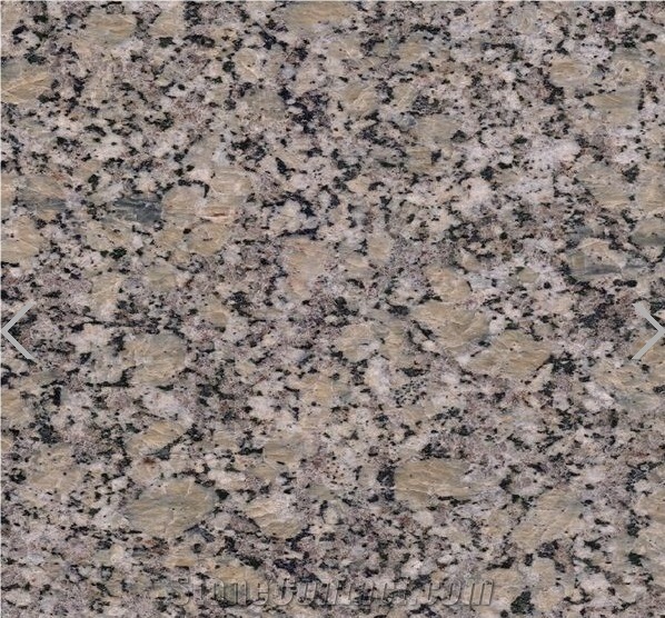 Golden Autumn Sesame Gold Granite for Counter Top