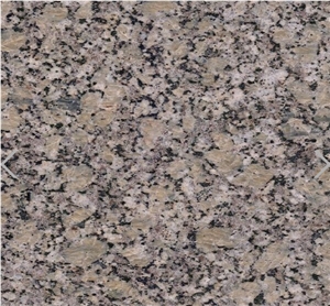 Golden Autumn Sesame Gold Granite for Counter Top