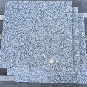 Chinese Cheap Granite Grey Sardo G602