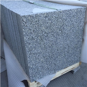 Chinese Cheap Granite Grey Sardo G602