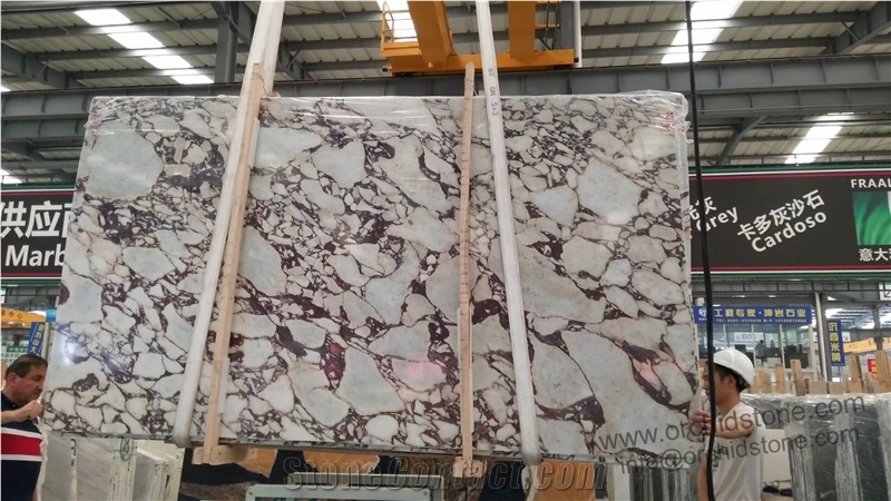 Calacatta Viola Marble Bathroom Wall Cladding Tile